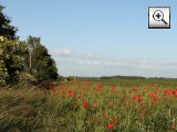 Foto: Holzhausen Zaucheblick