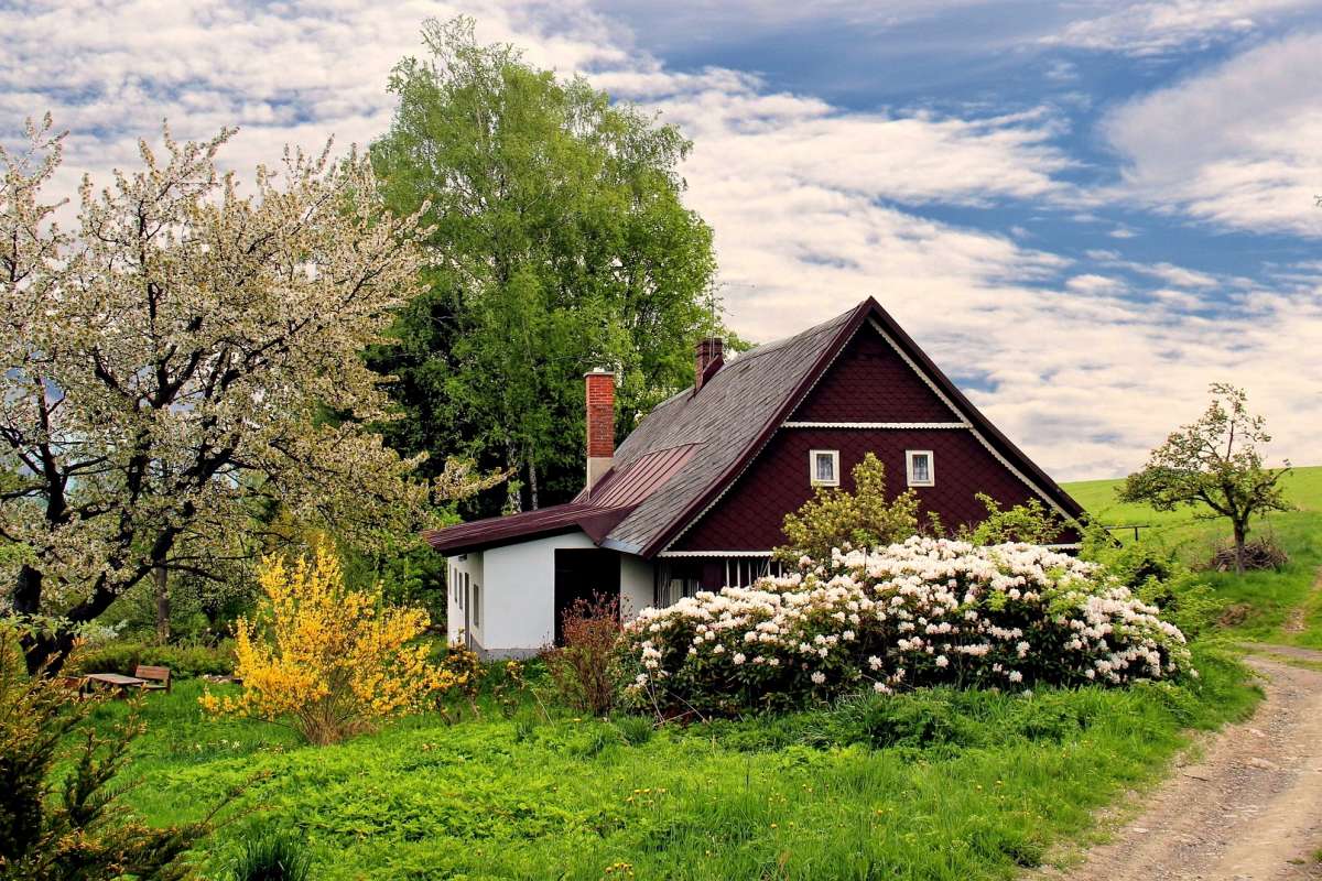 Haus kaufen in Holzhausen