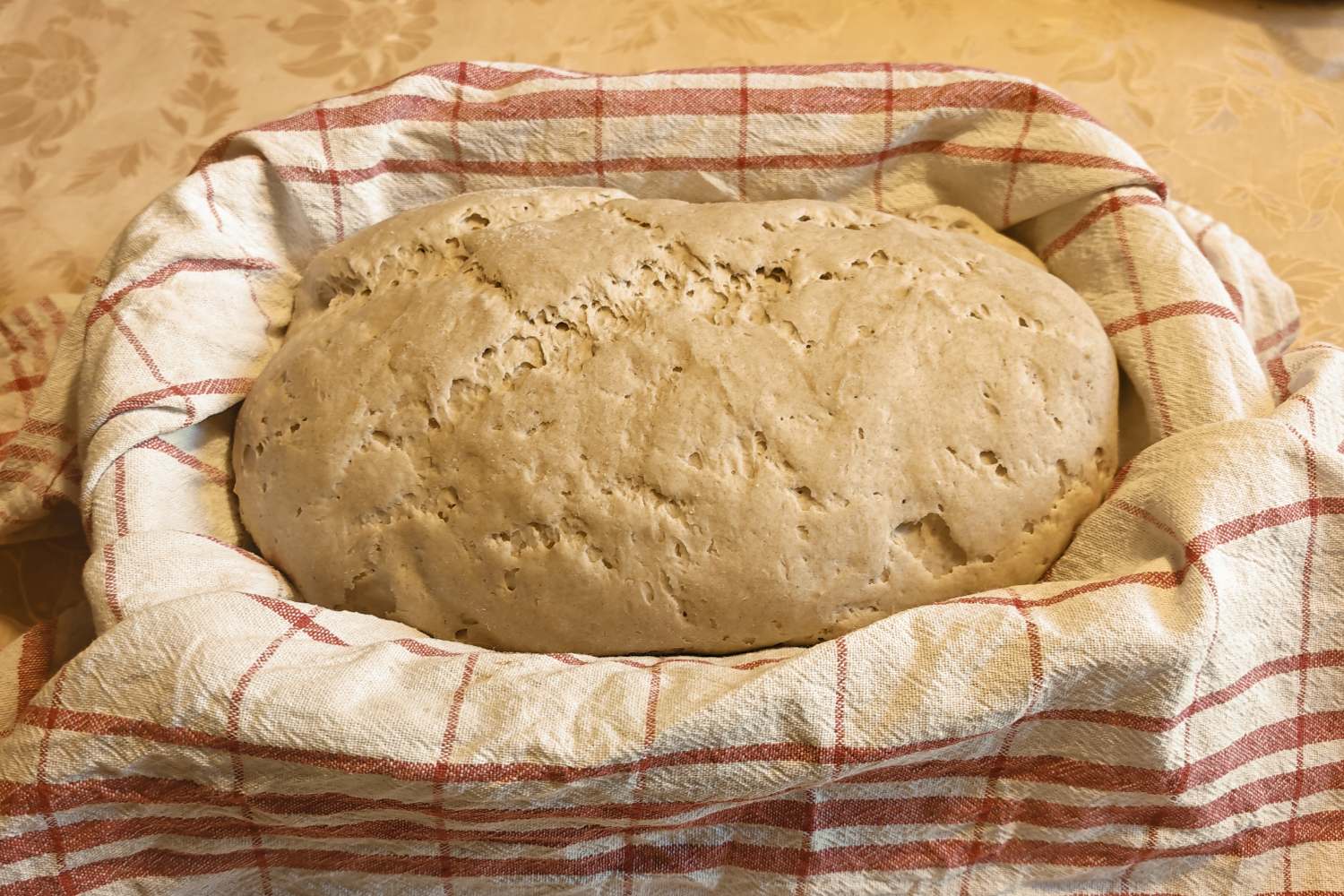Brot Teigling im G�rkorb