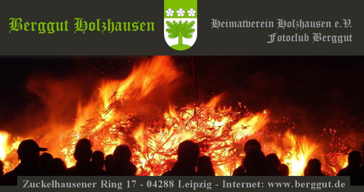 Neujahrsfeuer FFW Holzhausen am Berggut